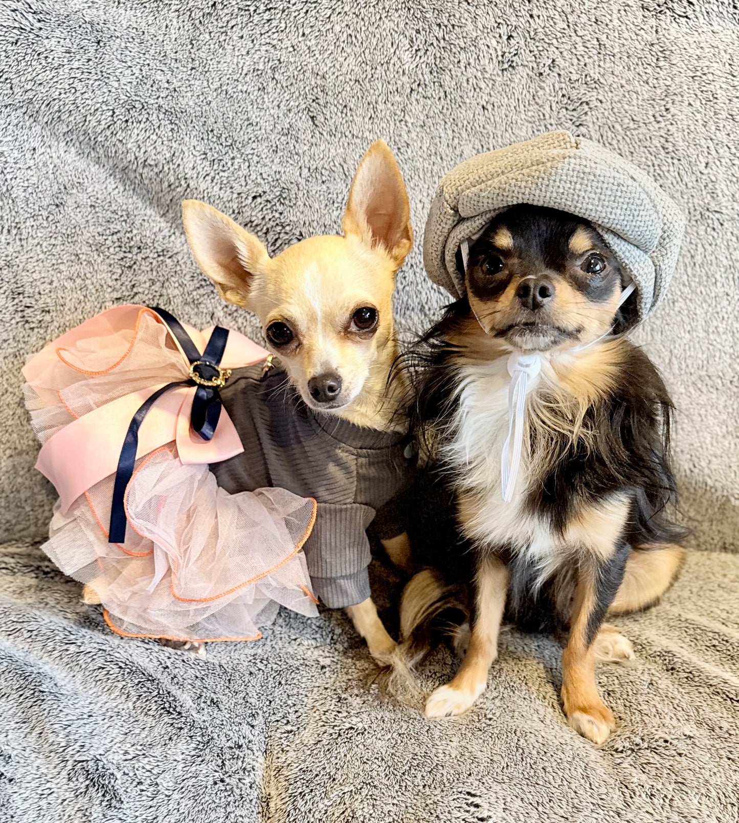 Puppy Deposit On Future Litter